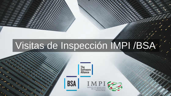 Vistas Inspección IMPI/BSA